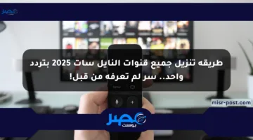 طريقة تنزيل جميع قنوات النايل سات 2025 بتردد واحد.. سر لم تعرفه من قبل!